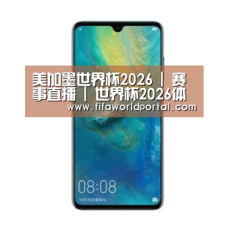 华为无线快充手机