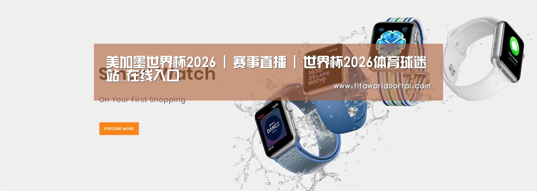 某某网络科技有限公司
