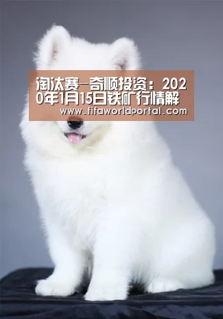 淘汰赛-奇顺投资:2020年1月15日铁矿行情解析(图2) 球队名单