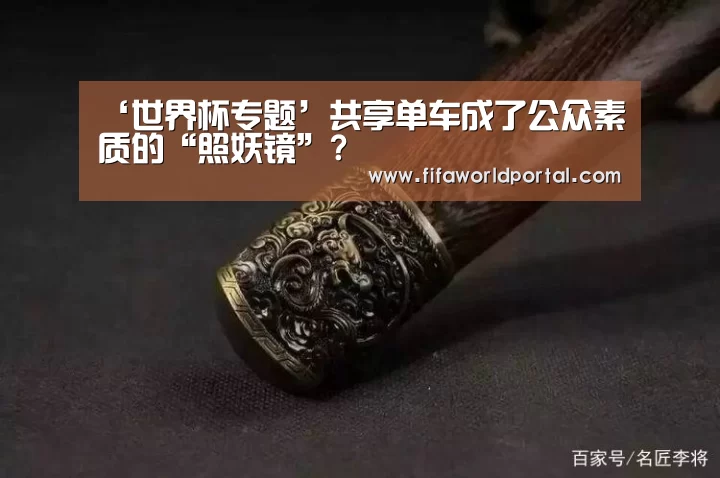 ‘世界杯专题’共享单车成了公众素质的“照妖镜”?(图3) 世界杯专题