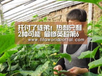 托付了徒弟!热刺只剩2种可能 最惨英超第6也无欧联资格“世界杯专题”(图1) 比赛集锦
