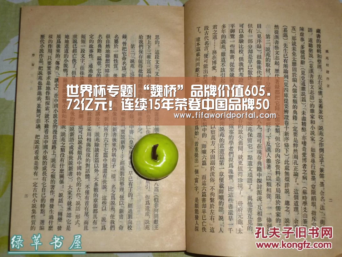 世界杯专题|“魏桥”品牌价值605.72亿元!连续15年荣登中国品牌500强!(图2) 淘汰赛