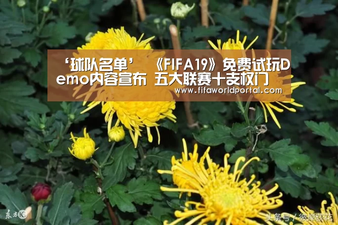 淘汰赛