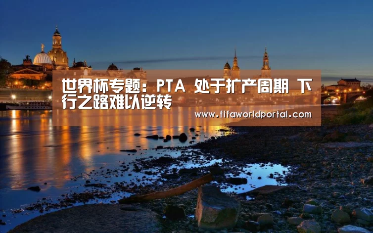 世界杯专题:PTA 处于扩产周期 下行之路难以逆转(图1) 淘汰赛