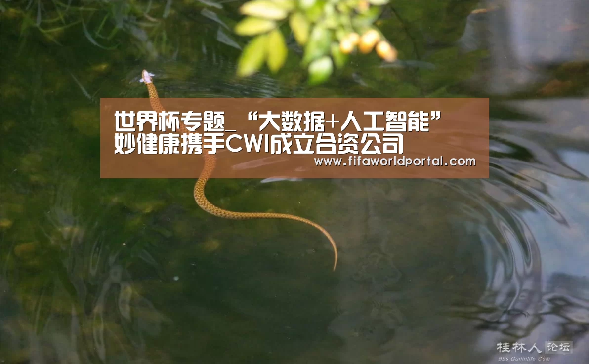 世界杯专题_“大数据+人工智能” 妙健康携手CWI成立合资公司(图2) 世界杯专题